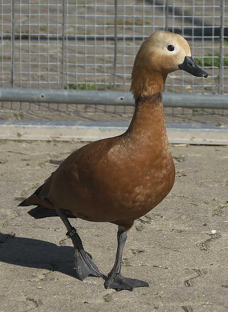 对于孩子和