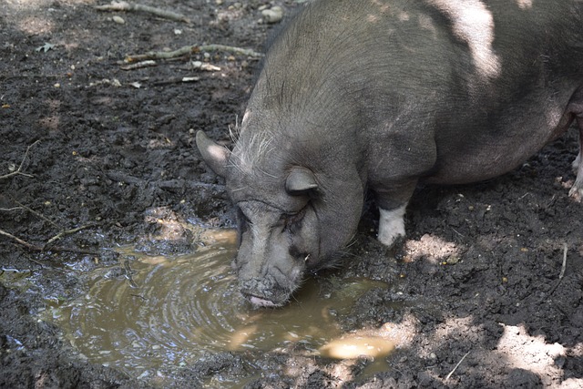 在浙江队的 在浙江队的