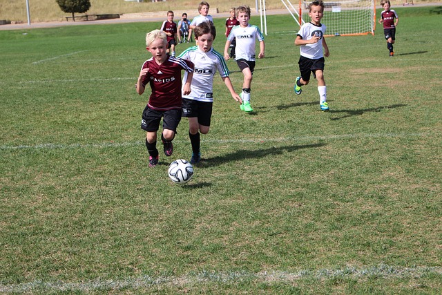 深究拜仁的 深究拜仁的