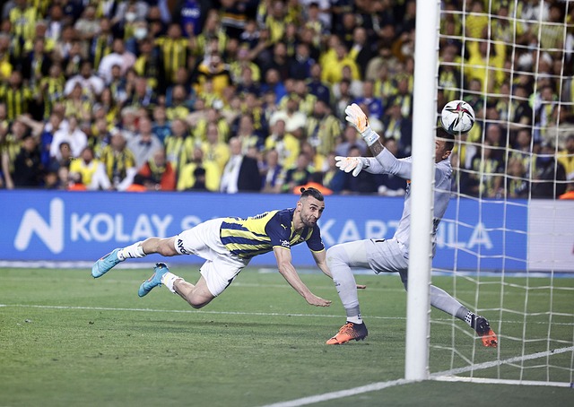 以迎接未来 以迎接未来